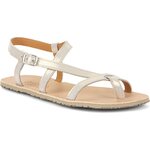 Froddo Barefoot Flexy W Gold shine