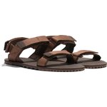 Xero Shoes D-Trail (miesten) Cocoa Brown / Java Brown