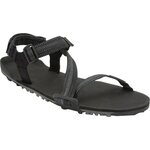 Xero Shoes Z-Trail EV för herrar Svart