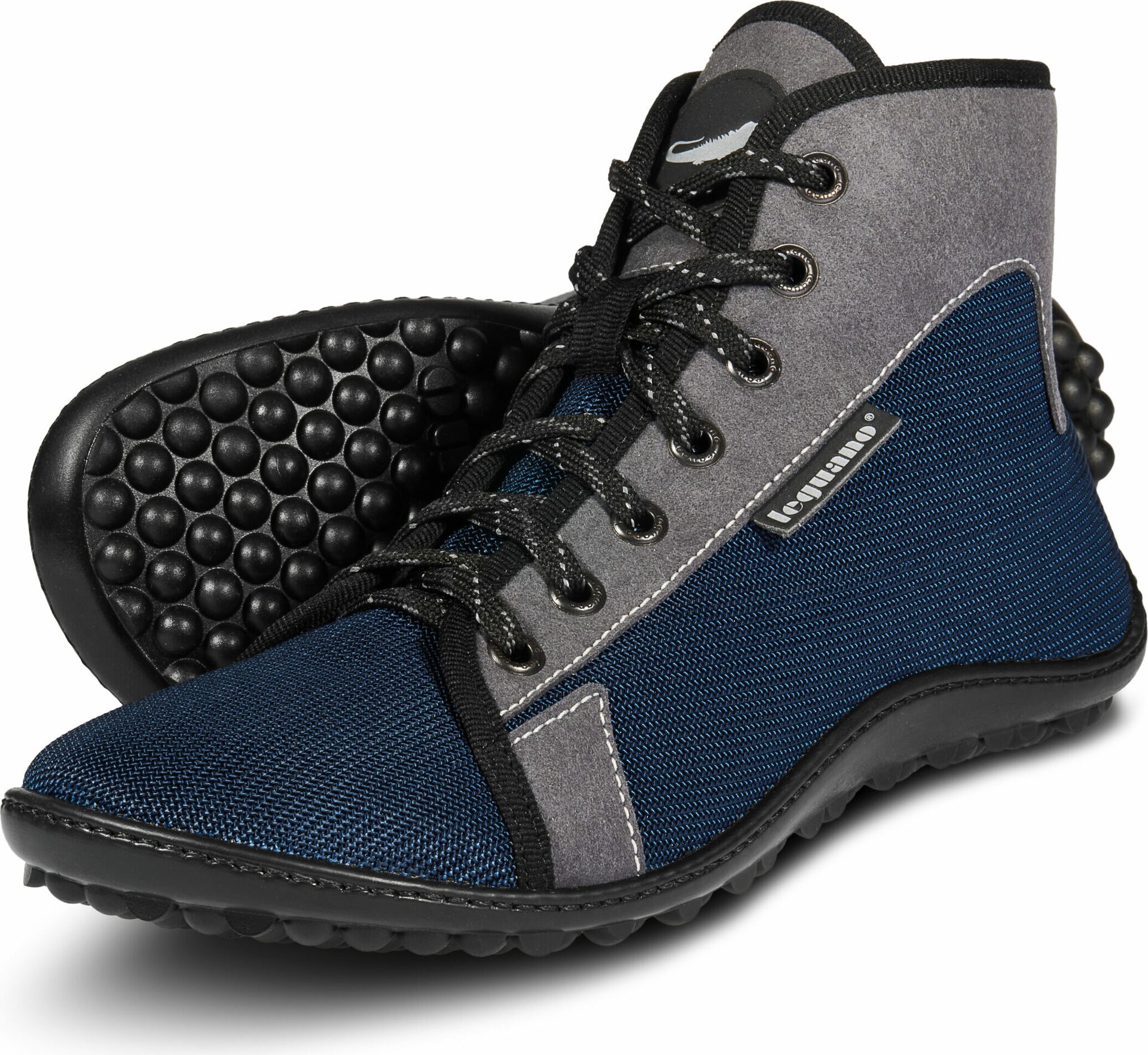 Leguano Jaspar Blauw