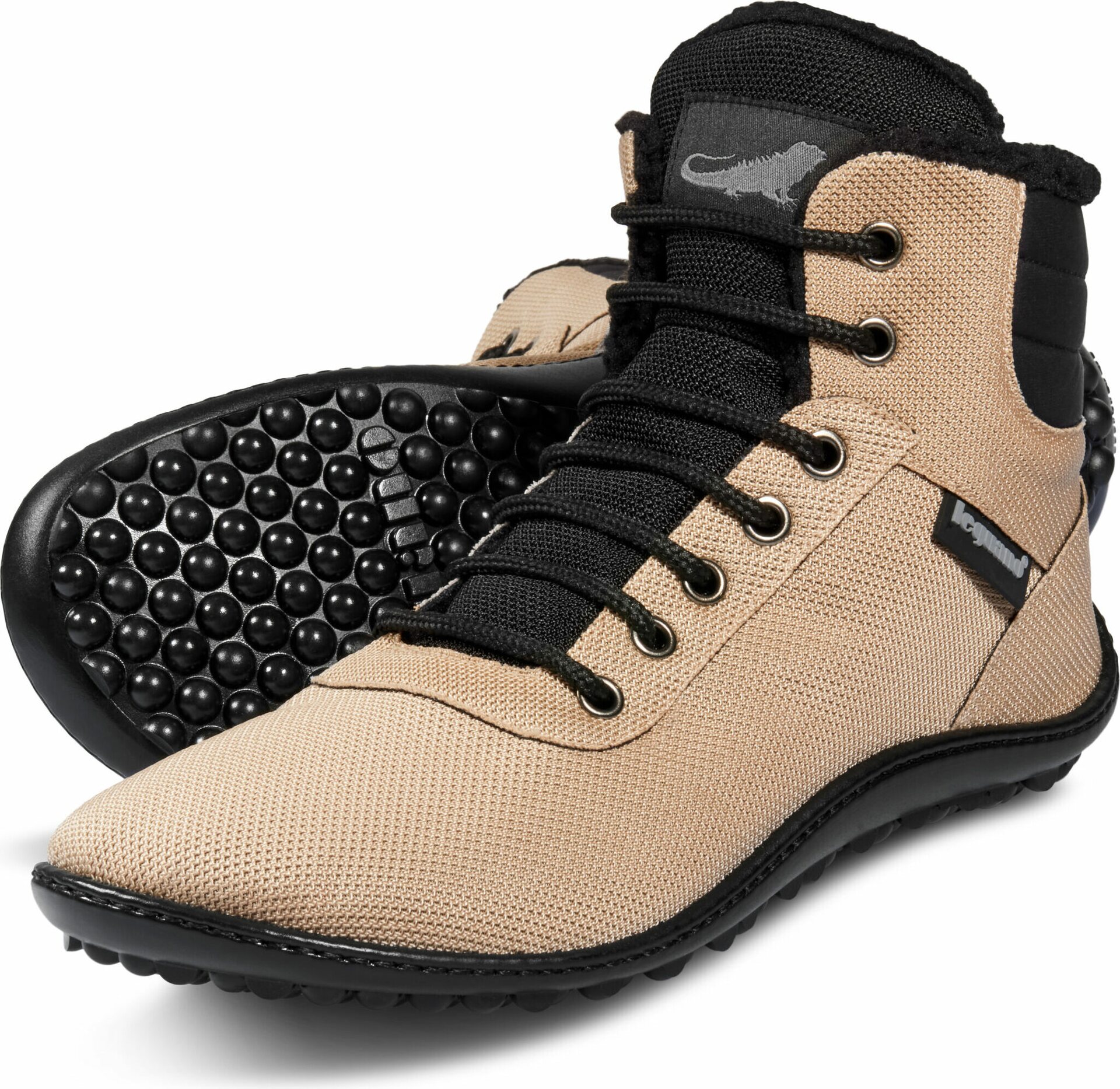 Leguano Kosmo Hiekka