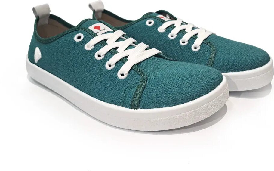 Anatomic Starter ECO スニーカー ガソリン (AE06)