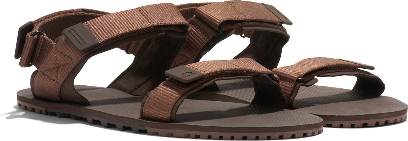 Xero Shoes D-Trail (miesten) Cocoa Brown / Java Brown