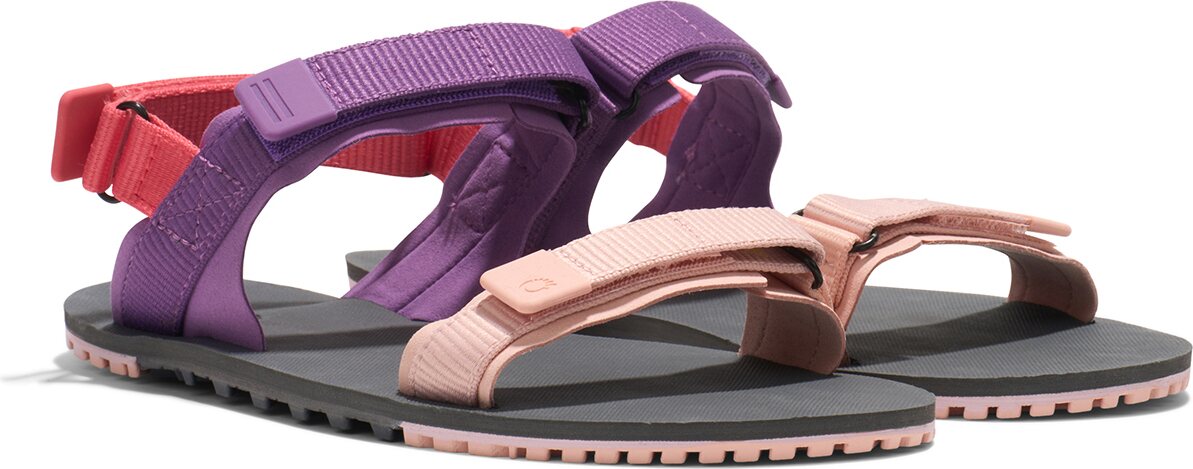 Xero Shoes D-Trail (naisten) Dewberry Multi