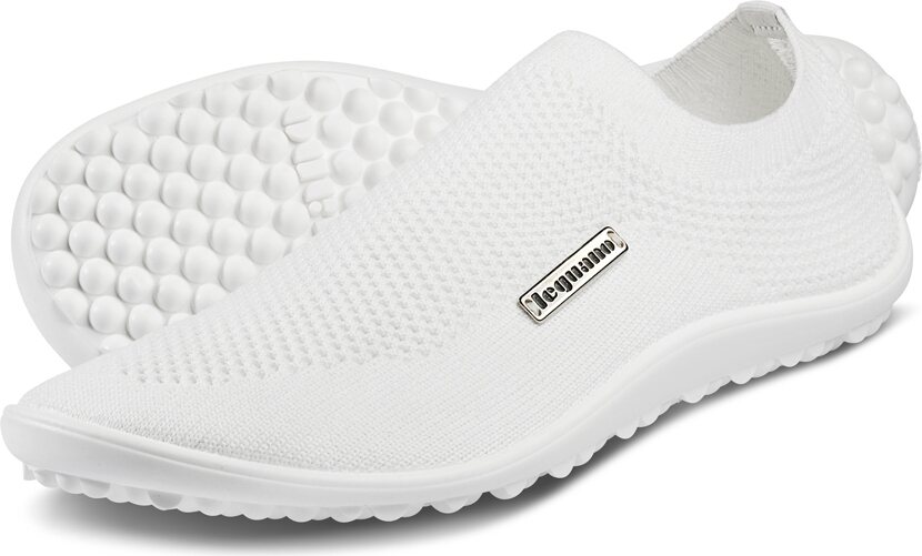 Leguano Scio (minttu / valkoinen) 白