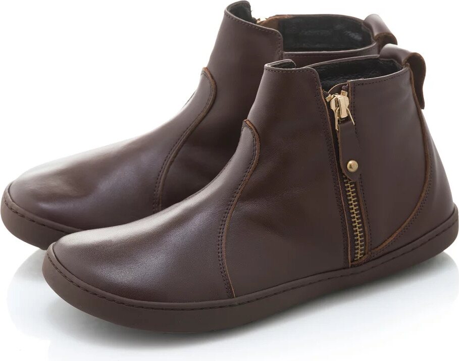 Shapen Ivy 2.0 Bruin