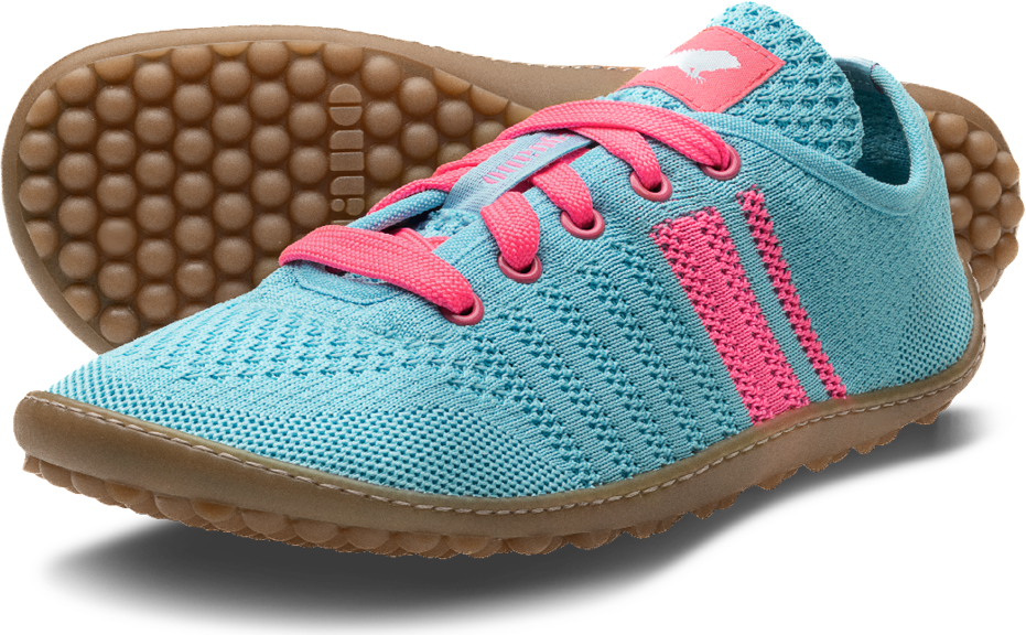 Leguano Caribeo Modrá