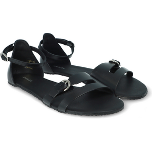 ANGLES Themis