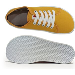 Anatomic Starter canvas tennarit