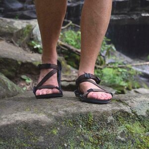 Xero Shoes Z-Trail EV för herrar