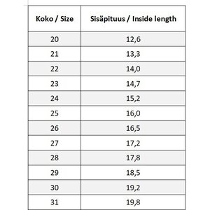 D.D.Step pienten lasten välikausikengät (lohikäärme, 21-25)