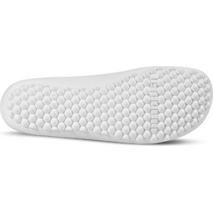 Leguano Flair