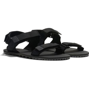 Xero Shoes D-Trail (miesten)