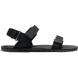 Xero Shoes D-Trail (miesten)