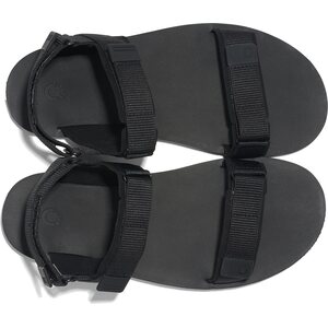 Xero Shoes D-Trail (miesten)
