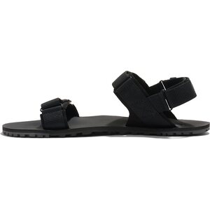 Xero Shoes D-Trail (miesten)