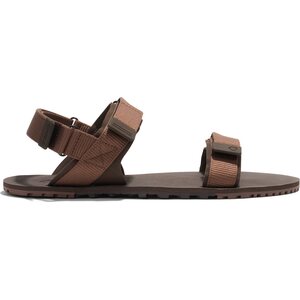 Xero Shoes D-Trail (miesten)