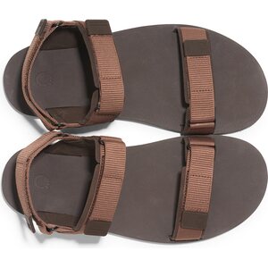 Xero Shoes D-Trail (miesten)