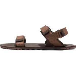 Xero Shoes D-Trail (miesten)