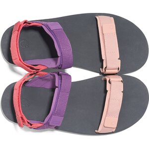 Xero Shoes D-Trail (naisten)