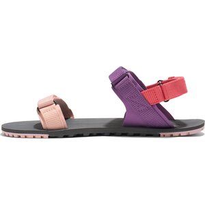 Xero Shoes D-Trail (naisten)
