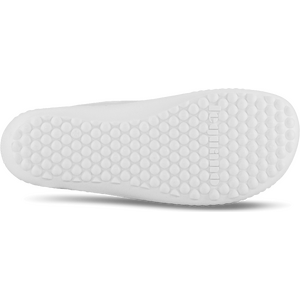 Leguano Spinwyn