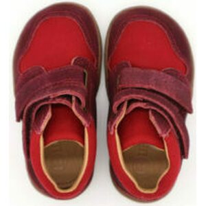 BLifestyle de niños temporada media zapatos "Raccoon"