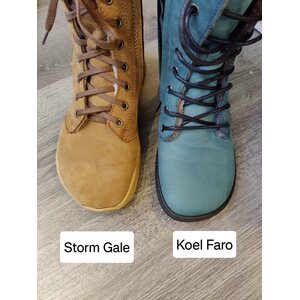 Storm Gale